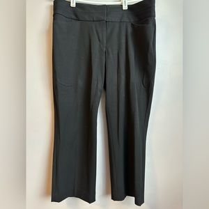 Express Edition Pants